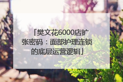 樊文花6000店扩张密码：面部护理连锁的底层运营逻辑