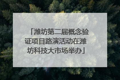 潍坊第二届概念验证项目路演活动在潍坊科技大市场举办