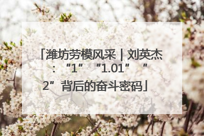 潍坊劳模风采｜刘英杰：“1”“1.01”“2”背后的奋斗密码