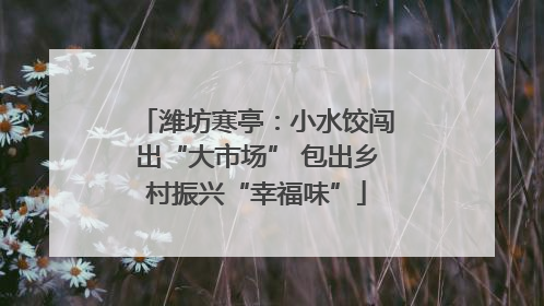 潍坊寒亭：小水饺闯出“大市场” 包出乡村振兴“幸福味”
