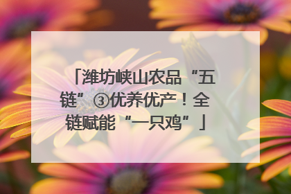 潍坊峡山农品“五链”③优养优产！全链赋能“一只鸡”