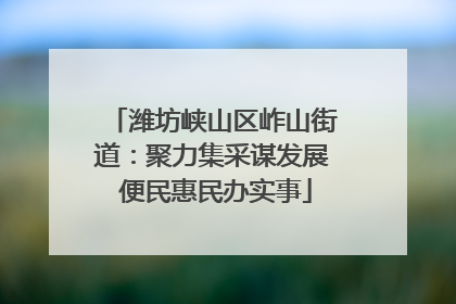 潍坊峡山区岞山街道：聚力集采谋发展 便民惠民办实事