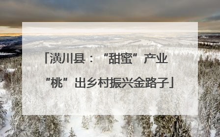 潢川县：“甜蜜”产业  “桃”出乡村振兴金路子