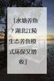 水塘养鱼？湖北江陵生态养鱼模式环保又增收