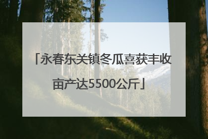 永春东关镇冬瓜喜获丰收 亩产达5500公斤