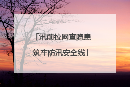 汛前拉网查隐患 筑牢防汛安全线