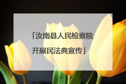 汝南县人民检察院开展民法典宣传