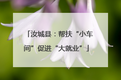 汝城县：帮扶“小车间”促进“大就业”