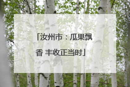 汝州市：瓜果飘香 丰收正当时
