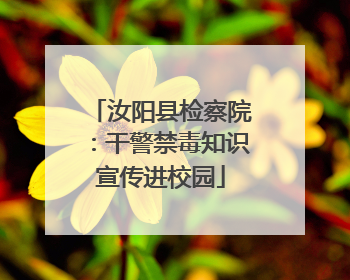 汝阳县检察院：干警禁毒知识宣传进校园