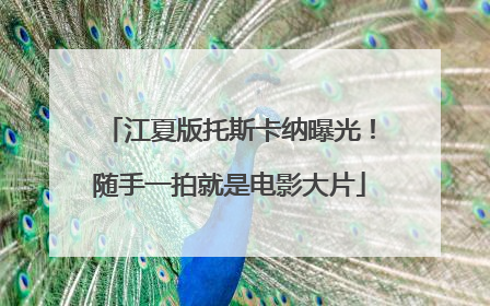 江夏版托斯卡纳曝光！随手一拍就是电影大片