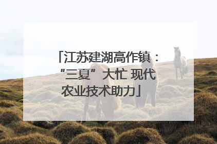 江苏建湖高作镇：“三夏”大忙 现代农业技术助力