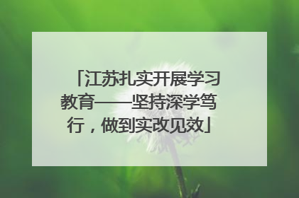 江苏扎实开展学习教育——坚持深学笃行，做到实改见效
