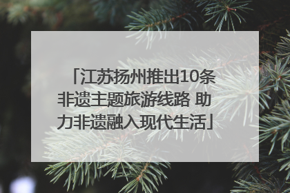 江苏扬州推出10条非遗主题旅游线路 助力非遗融入现代生活