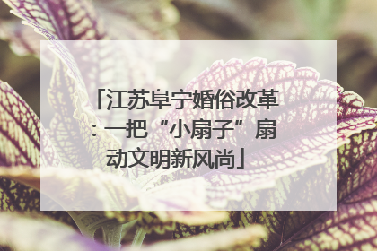 江苏阜宁婚俗改革：一把“小扇子”扇动文明新风尚