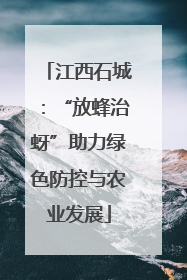 江西石城：“放蜂治蚜”助力绿色防控与农业发展