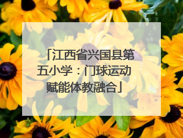 江西省兴国县第五小学：门球运动赋能体教融合
