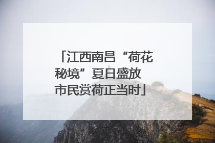 江西南昌“荷花秘境”夏日盛放 市民赏荷正当时