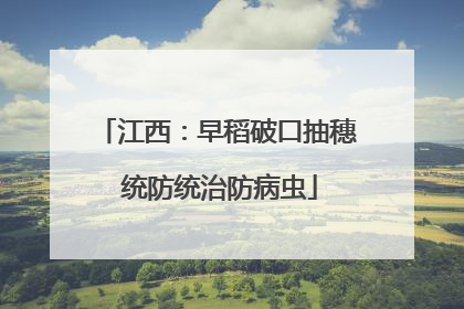 江西：早稻破口抽穗 统防统治防病虫