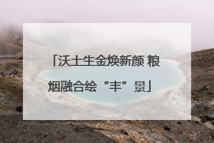 沃土生金焕新颜 粮烟融合绘“丰”景