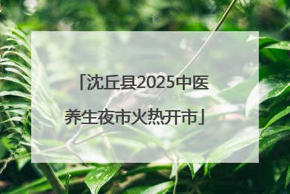 沈丘县2025中医养生夜市火热开市