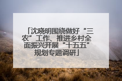 沈晓明围绕做好“三农”工作、推进乡村全面振兴开展“十五五”规划专题调研