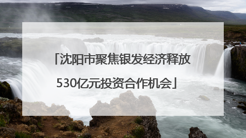 沈阳市聚焦银发经济释放530亿元投资合作机会
