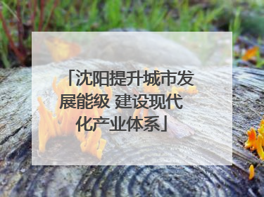沈阳提升城市发展能级 建设现代化产业体系
