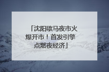 沈阳歇马夜市火爆开市！首发引擎点燃夜经济