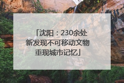沈阳：230余处新发现不可移动文物重现城市记忆