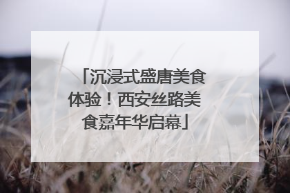沉浸式盛唐美食体验！西安丝路美食嘉年华启幕