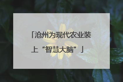 沧州为现代农业装上“智慧大脑”