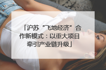 沪苏“飞地经济”合作新模式：以重大项目牵引产业链升级