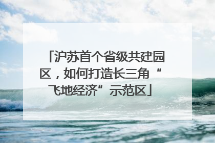 沪苏首个省级共建园区，如何打造长三角“飞地经济”示范区