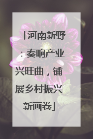 河南新野：奏响产业兴旺曲，铺展乡村振兴新画卷