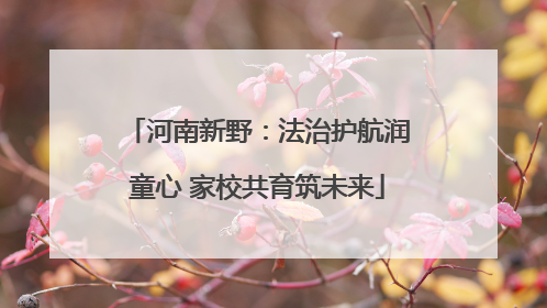河南新野：法治护航润童心 家校共育筑未来