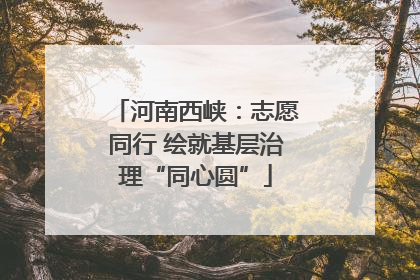 河南西峡：志愿同行 绘就基层治理“同心圆”