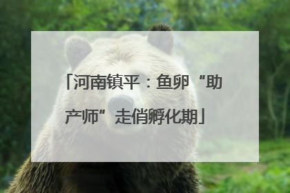 河南镇平：鱼卵“助产师”走俏孵化期