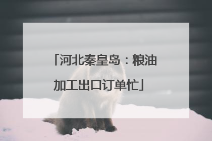 河北秦皇岛：粮油加工出口订单忙
