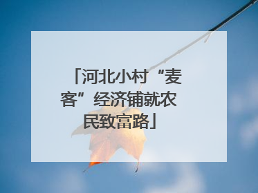 河北小村“麦客”经济铺就农民致富路