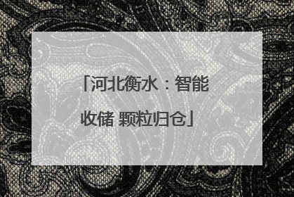 河北衡水：智能收储 颗粒归仓