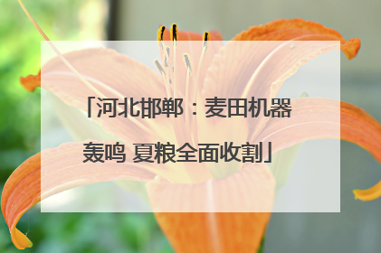 河北邯郸：麦田机器轰鸣 夏粮全面收割