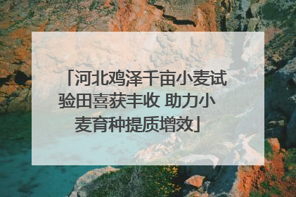 河北鸡泽千亩小麦试验田喜获丰收 助力小麦育种提质增效
