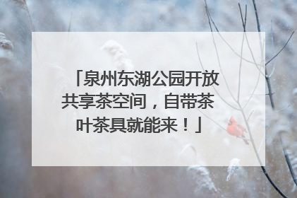 泉州东湖公园开放共享茶空间，自带茶叶茶具就能来！