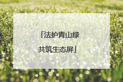 法护青山绿 共筑生态屏