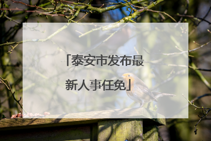 泰安市发布最新人事任免