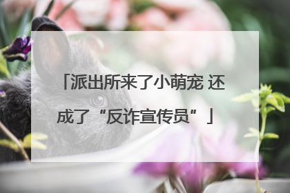 派出所来了小萌宠 还成了“反诈宣传员”