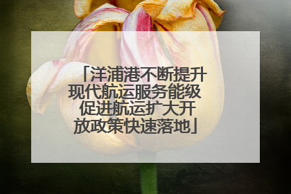洋浦港不断提升现代航运服务能级 促进航运扩大开放政策快速落地
