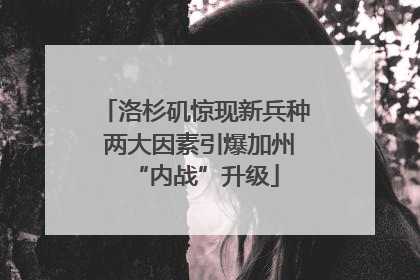 洛杉矶惊现新兵种 两大因素引爆加州“内战”升级