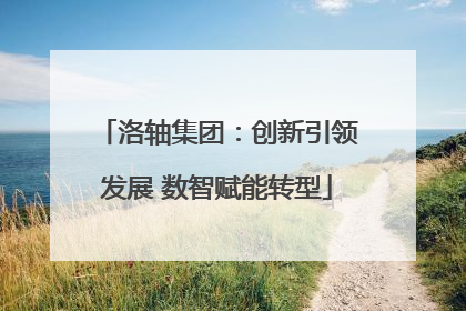 洛轴集团：创新引领发展 数智赋能转型